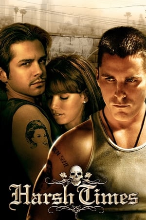 Harsh Times 2005 Hindi Dual Audio HDRip | Hindi Dubbed Movie – 480p