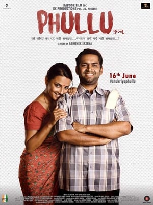 Phullu 2017 300MB Full Movie | Hindi Dubbed Movie DTHRip Download