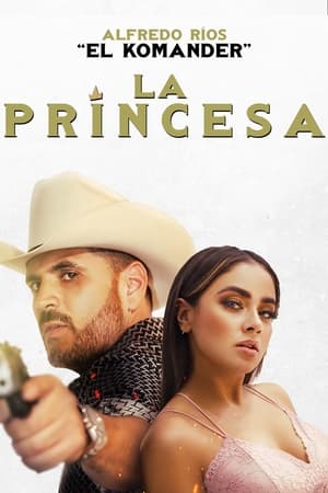 Prince 2022 Hindi (HQ Dubbed) Movie Pre-DVDRip | Hindi Dubbed Movie – 480p